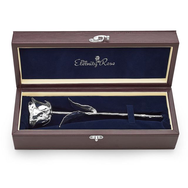 Geschenk zur silbernen Hochzeit