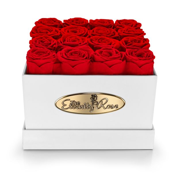 16 konservierte rote Rosen in quadratischer Präsentationsbox – Weiß